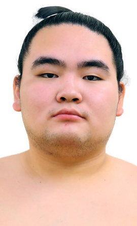 Portrait of the sumo wrestler