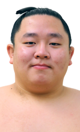 Portrait of the sumo wrestler