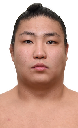 Portrait of the sumo wrestler