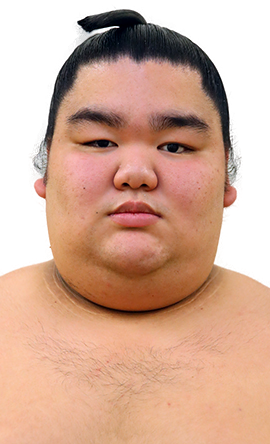 Portrait of the sumo wrestler