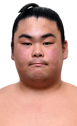 Portrait of the sumo wrestler