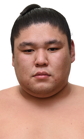 Portrait of the sumo wrestler