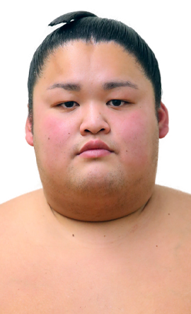 Portrait of the sumo wrestler