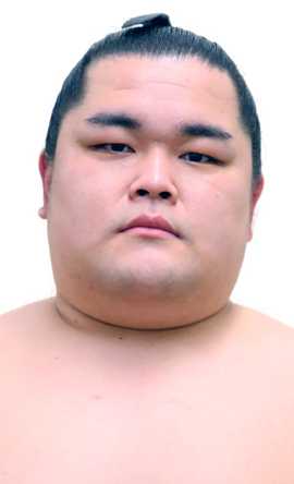 Portrait of the sumo wrestler