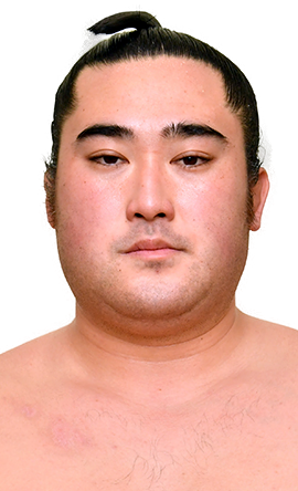 Portrait of the sumo wrestler