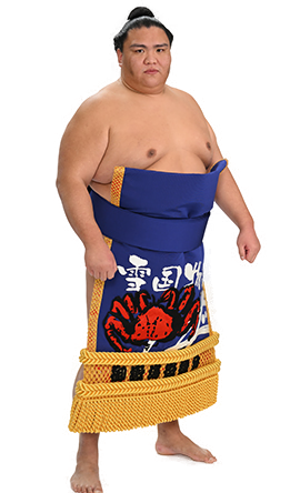 Portrait of the sumo wrestler