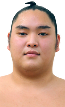 Portrait of the sumo wrestler