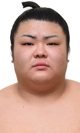 Portrait of the sumo wrestler