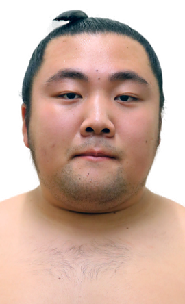 Portrait of the sumo wrestler