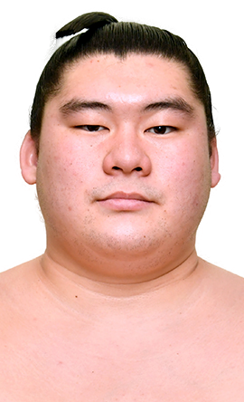 Portrait of the sumo wrestler