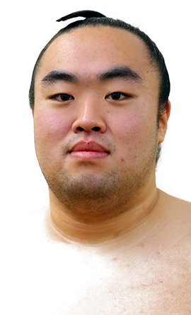 Portrait of the sumo wrestler