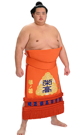 Portrait of the sumo wrestler