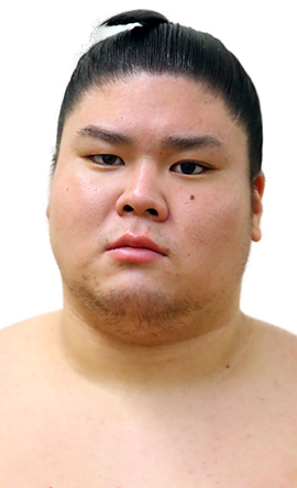 Portrait of the sumo wrestler