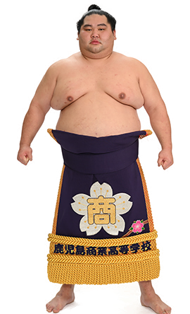 Portrait of the sumo wrestler