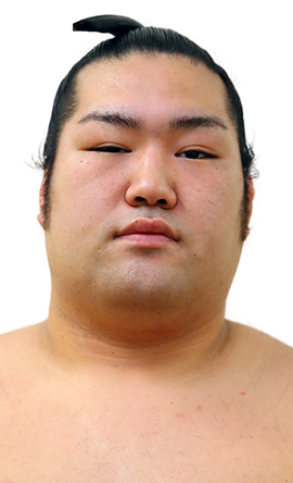 Portrait of the sumo wrestler