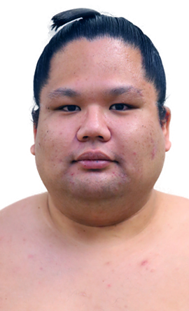 Portrait of the sumo wrestler