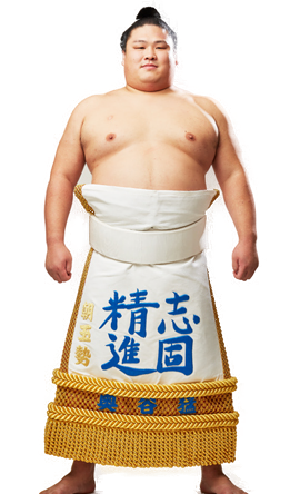 Portrait of the sumo wrestler