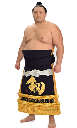 Portrait of the sumo wrestler