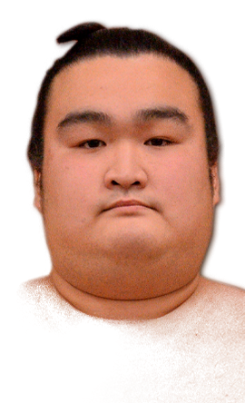 Portrait of the sumo wrestler