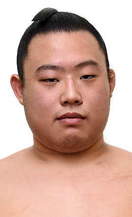 Portrait of the sumo wrestler