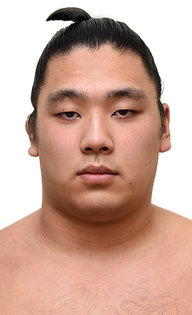 Portrait of the sumo wrestler