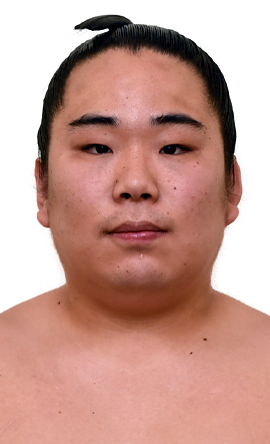 Portrait of the sumo wrestler