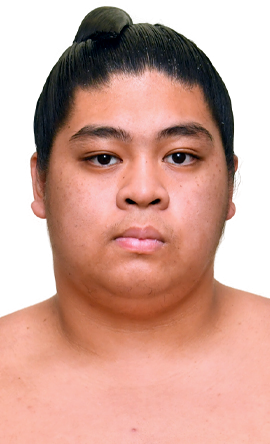 Portrait of the sumo wrestler