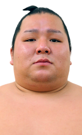 Portrait of the sumo wrestler