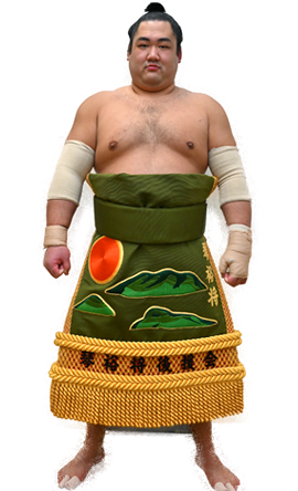 Portrait of the sumo wrestler