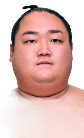 Portrait of the sumo wrestler