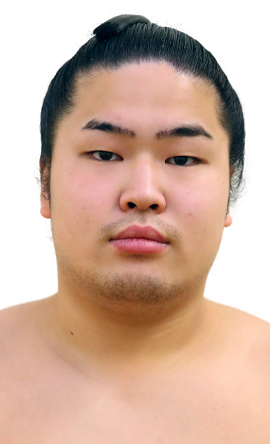 Portrait of the sumo wrestler