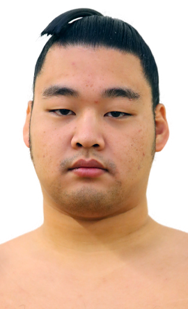 Portrait of the sumo wrestler