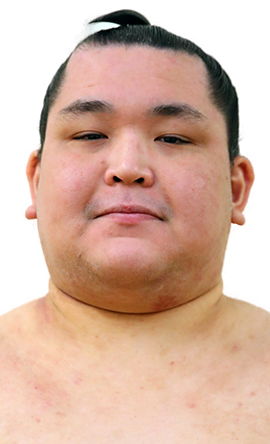 Portrait of the sumo wrestler