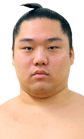 Portrait of the sumo wrestler