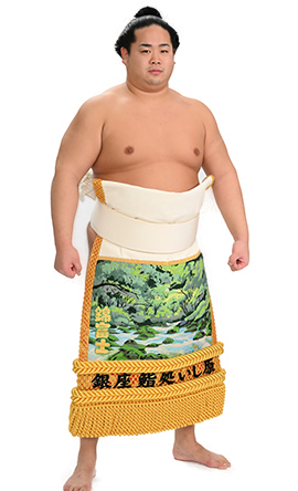 Portrait of the sumo wrestler