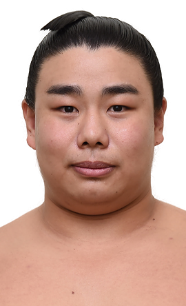 Portrait of the sumo wrestler