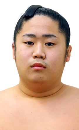 Portrait of the sumo wrestler