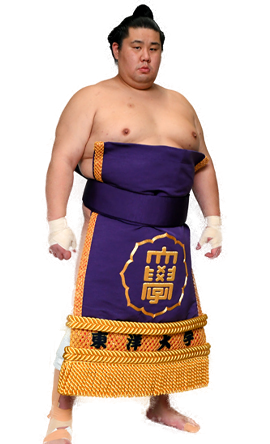 Portrait of the sumo wrestler