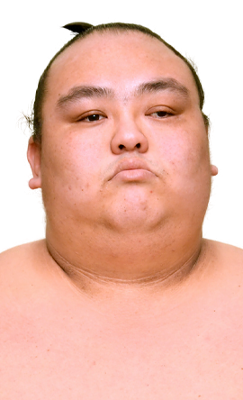 Portrait of the sumo wrestler