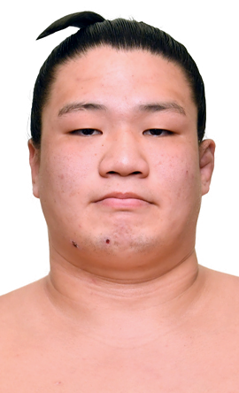 Portrait of the sumo wrestler