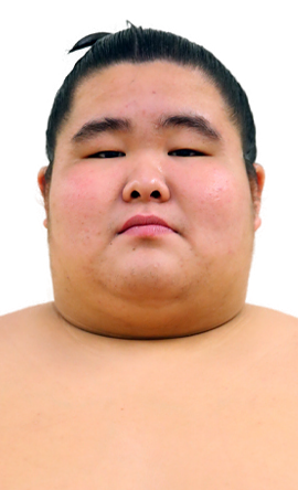 Portrait of the sumo wrestler