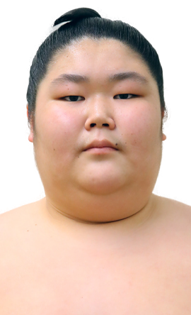 Portrait of the sumo wrestler