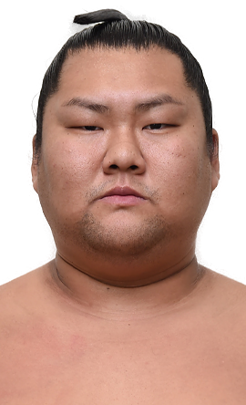 Portrait of the sumo wrestler