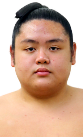 Portrait of the sumo wrestler