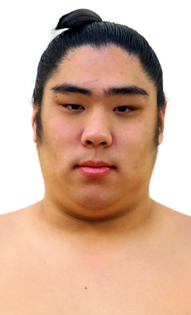 Portrait of the sumo wrestler