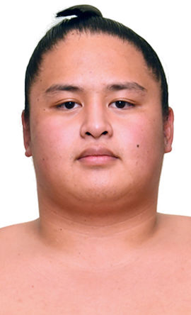 Portrait of the sumo wrestler