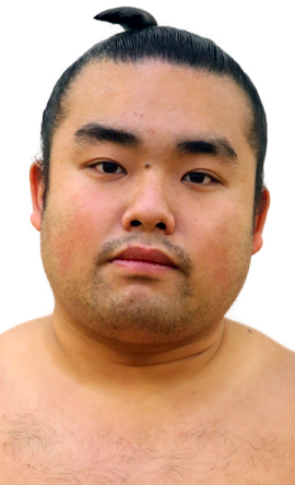 Portrait of the sumo wrestler