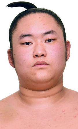 Portrait of the sumo wrestler