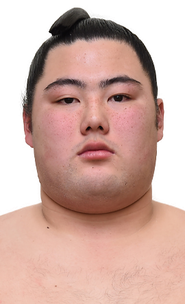 Portrait of the sumo wrestler