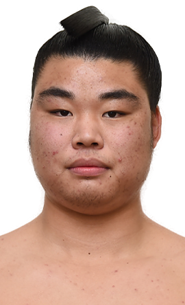 Portrait of the sumo wrestler